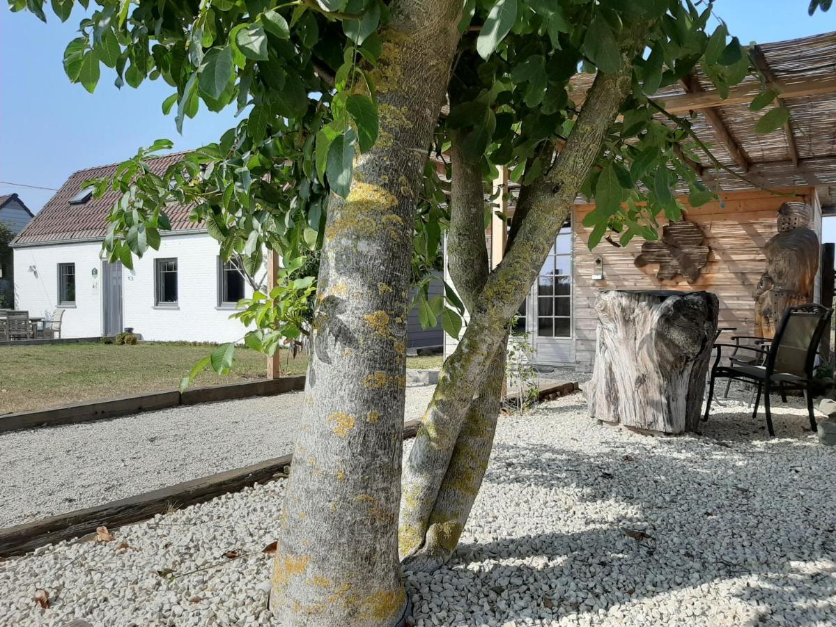 Villa La Petite Juliette Leuze-en-Hainaut Exterior foto